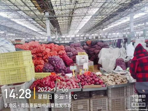 青岛五大批发市场日供肉菜4000吨,零售均价持续下降 菜篮子 商品供应充足